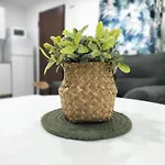 Gasset Infinity Apartmán